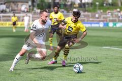 3. Liga; Borussia Dortmund II - FC Ingolstadt 04; David Kopacz (29, FCI) Guille Bueno (3 BVB2)