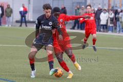 A - Junioren Bundesliga Süd/Südwest -  Saison 2021/2022 - FC Ingolstadt 04 - Eintracht Frankfurt - Madougou Ibrahim (#9 FCI) - Foto: Meyer Jürgen