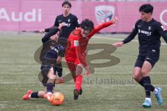 A-Junioren - Bundesliga Süd Fc Ingolstadt 04 - SC Freiburg -  Sekulovic Davide (Nr.7 - FC Ingolstadt A-Jugend) - Bauer Mika schwarz Freiburg - Foto: Meyer Jürgen