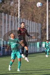 3. Liga; Testspiel; SpVgg Greuther Fürth - FC Ingolstadt 04 - Marcel Costly (22, FCI) Green Julian (37 SpVgg)