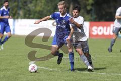 Kreisliga - Saison 2023/2024 - TSV Ober/Unterh.stadt- TSV Mümchsmünster - Simon Bellinghausen blau Oberhstadt - Andre Bräuning grau M.Münster - Foto: Meyer Jürgen