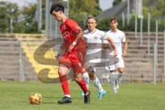 A-Junioren - Bundesliga Süd Fc Ingolstadt 04 - Eintracht Frabkfurt -  Sekulovic Davide #7 rot FCI - Foto: Meyer Jürgen