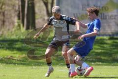 Kreisliga - Saison 2024/25- SV Menning - TSV Ober/Unterhaunstadt-  - Amadeus Taubert grau Ober/Haunstadt - Moritz Mayerhofer blau Menning - Foto: Meyer Jürgen