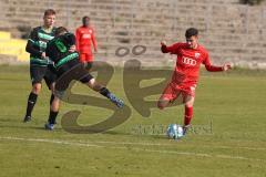 B-Junioren - Bayernliga -  Fc Ingolstadt 04 - SpVgg Greuther Fürth II -  Berg Baran rot FCI schiesst ein Tor - Jubel - Foto: Meyer Jürgen