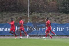 3. Liga; TSV Havelse - FC Ingolstadt 04; Tor Jubel Treffer Wriedt Kwasi Okyere (11 TSV) 1:0 Duah Dennis (15 TSV) Nduka Donald (27 TSV)