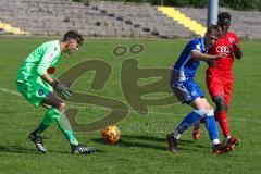 A - Junioren Bundesliga Süd/Südwest -  Saison 2021/2022 - FC Ingolstadt 04 - Karlsruher SC - Madougou Ibrahim (#9 FCI) - Weiß Max Torwart Karlsruhe - Foto: Meyer Jürgen