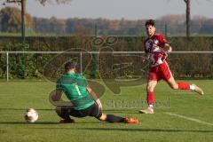 Kreisklasse - Saison 2022/2023 - SV Buxheim - SV Stammham - Der 0:3 Führungstreffer durch Simon Renn rot Stammham - jubel - Karsten Hiesch Torwart Buxheim - Foto: Meyer Jürgen