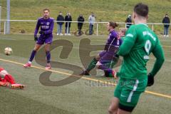 Testspiel - Fußball - SV Manching - VFR Neuburg/Donau  - Der 1:0 Führungstreffer durch Rainer Meisinger (#19 Manching) - jubel - Riedlelsheimer Matthias lila Neuburg - Foto: Jürgen Meyer