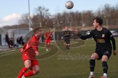 Bayernliga Nord - Saison 2023/24 - FC Ingolstadt 04 II - SpVgg Hankofen-Hailing - Riedl Fabio rot FCI - Blümel Jonas schwarz Hankofen - Foto: Meyer Jürgen