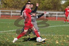 2023_11_5 - Kreisklasse - Saison 2023/24 - TSV Lenting - SV Eitensheim  - Niklas Elm rot Eitensheim - Stefan Hofmeier grau Lenting - Foto: Meyer Jürgen