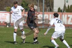 Bayernliga Nord - Saison 2025/26 - FC Ingolstadt 04 II - SpVgg Bayern Hof - Patrick Bachmann (Nr.8 - FC Ingolstadt II) - Niklas Stadelmann weiss Bayern Hof  - Foto: Meyer Jürgen