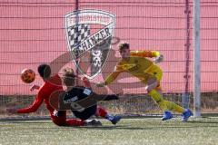 A - Junioren Bundesliga Süd/Südwest -  Saison 2021/2022 - FC Ingolstadt 04 - SC Freiburg - Bock Julian Torwart (#33 FCI) - Udogu David (#3 FCI) - Mühlethaler Tim #9 Freiburg - Foto: Meyer Jürgen