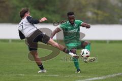 Bezirksliga - Saison 2025/26 - TSV Ober./Unterhaunstadt - FC Gerolfing - Amadeus Taubert grau Ober./Unterhaunstadt - Dissan Mutyaba grün Gerolfing - Foto: Meyer Jürgen