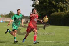 Kreisklasse - Saison 2025/26- TSV Lenting - SV Eitensheim - Dennis Volk grün Lenting - Marco Fachner rot Eitensheim - Foto: Meyer Jürgen