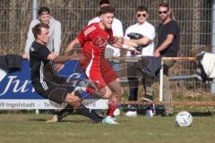 Kreisklasse - Saison 2024/25- Türkisch SV Ingolstadt - TSV Gaimersheim II - Daniel Marxreiter schwarz Gaimersheim - Enis Kuqanaj rot Türkisch - Foto: Meyer Jürgen