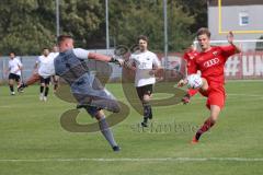 Bayernliga Nord - Saison 2023/2024 - FC Ingolstadt 04 - FC Coburg -Jeroen Krupa  (Nr.9 - FCI U21) - Luis Krempel
 Torwart Coburg - Foto: Meyer Jürgen