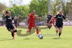 2. Bundesliga Frauen - Saison 2023/24 - FC Ingolstadt 04 Frauen - FC Bayern München II - Gloning Laura schwarz links Bayern - Katharina Krist (Nr.14 - FCI) - Reszler Eszter schwarz rechts Bayern - Foto: Meyer Jürgen