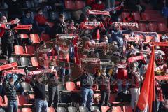 2.BL; FC Ingolstadt 04 - SV Sandhausen; vor dem Spiel Fan Fankurve Banner Fahnen Spruchband