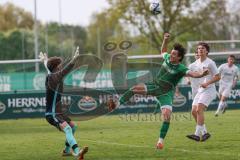Bezirksliga - Saison 2024/25 - FC Gerolfing - SV Waldeck-München - Niklas Nissl (Nr.10 - FC Gerolfing) - Fabian Fahr Torwart Waldeck - Foto: Meyer Jürgen