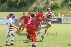Kreisliga - Saison 2024/25- SV Kasing - TSV Kösching-  - Bernd Noll weiss Kasing - Johannes Altmann rot Kösching - Foto: Meyer Jürgen