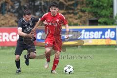 Kreisklasse - Saison 2024/25- Türkisch SV Ingolstadt - FC Gelbelsee-  - Baha Asici rot Türkisch - Lukas Pickl schwarz Gelbelsee - Foto: Meyer Jürgen