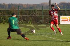 Kreisklasse - Saison 2022/2023 - SV Buxheim - SV Stammham - Der 0:3 Führungstreffer durch Simon Renn rot Stammham - jubel - Karsten Hiesch Torwart Buxheim - Foto: Meyer Jürgen