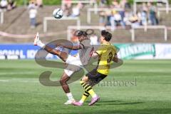 3. Liga; Borussia Dortmund II - FC Ingolstadt 04; Bryang Kayo (48, FCI) Guille Bueno (3 BVB2)