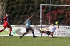 Kreisklasse - Saison 2022/2023 - SV Stammham - SC Steinberg - Der 1:1 Ausgleichstreffer durch Yannick Raab
 blau Steinberg - Niklas Schüssel Torwart Stammham - jubel - Foto: Meyer Jürgen