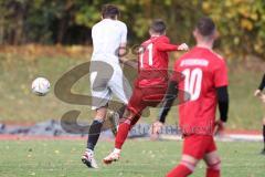 2023_11_5 - Kreisklasse - Saison 2023/24 - TSV Lenting - SV Eitensheim  -  Der 0:1 Führungstreffer durch - Tobias Dietze rot Eitensheim - jubel - Luca Aufmuth grau Lenting - Foto: Meyer Jürgen