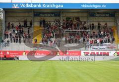 2.BL; SV Sandhausen - FC Ingolstadt 04 - mitgereiste Ingolstadt Fans, Choreo Fahnen Banner, Jubel