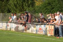 Toto - Pokal - Saison 2024/25 - TSV Lohr - FC Ingolstadt 04 - XXXXX -  mitgereiste Fans -  - Foto: Meyer Jürgen