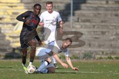 Bayernliga Nord - Saison 2025/26 - FC Ingolstadt 04 II - SpVgg Bayern Hof - Jason Osei Tutu (Nr.11 - FC Ingolstadt II) - Johannes Hamann weiss Bayern Hof  - Foto: Meyer Jürgen