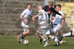 Bayernliga Nord - Saison 2025/26 - FC Ingolstadt 04 II - SpVgg Bayern Hof - Patrick Bachmann (Nr.8 - FC Ingolstadt II) - Maximilian Weiß weiss Bayern Hof  - Foto: Meyer Jürgen