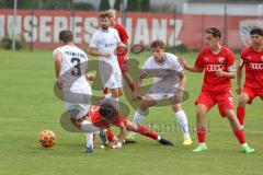 A-Junioren - Bundesliga Süd Fc Ingolstadt 04 - Eintracht Frabkfurt - Sekulovic Davide rot FCI -  Foto: Meyer Jürgen