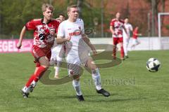 Kreisklasse - Saison 2023/24 - SV Stammham - SV Buxheim-  - Tobias Schmidt weiss Buxheim - Timo Weber rot Stammham - Foto: Meyer Jürgen