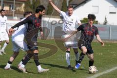 Bayernliga Nord - Saison 2025/26 - FC Ingolstadt 04 II - SpVgg Bayern Hof - Damian  Coric (Nr.17 - FC Ingolstadt II)- Niklas Stadelmann weiss Bayern Hof  - Foto: Meyer Jürgen