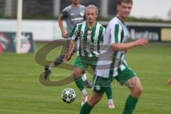 Landesliga - Saison 2025/26 - SV Manching - TSV Jetzendorf - Nico Daffner (Nr.14 - SV Manching) - XXXXX - Foto: Meyer Jürgen
