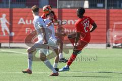 A-Junioren Bundesliga  - Saison 2023/24 - A-Junioren - FC Ingolstadt 04 - 1.FC Heidenheim - Jason Osei Tutu (Nr.24 - FCI) - XXXXX - Foto: Meyer Jürgen