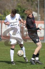 Bayernliga Nord - Saison 2025/26 - FC Ingolstadt 04 II - SpVgg Bayern Hof - Patrick Bachmann (Nr.8 - FC Ingolstadt II) - Niklas Stadelmann weiss Bayern Hof  - Foto: Meyer Jürgen