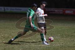 Landesliga - Saison 2024/25 - SV Manching - TSV Wertingen - Peric Leon (Nr.20 - SV Manching) - Maximilian Zeyer weiss Wertingen - Foto: Meyer Jürgen