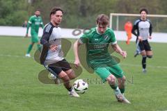 Bezirksliga - Saison 2025/26 - TSV Ober./Unterhaunstadt - FC Gerolfing - Timo Kraus (Nr.21 - FC Gerolfing) - Amadeus Taubert grau Ober./Unterhaunstadt - Foto: Meyer Jürgen