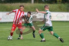 Landesliga - Saison 2025/26 - SV Manching - TSV Dachau  - Johannes  Dexl (Nr.13 - SV Manching) - Lorenz Knöferl rot Dachau - Rainer Meisinger (Nr.8 - SV Manching) - Foto: Meyer Jürgen