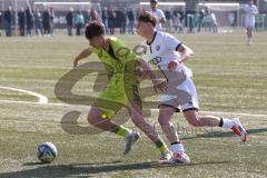 U17 DFB-Nachwuchsliga - Saison 2024/25 - FC Ingolstadt 04 - TSG Hoffenheim - Alexander Meyer weiss FCI - Maximilian Theuer gelb Hoffenheim - Foto: Meyer Jürgen