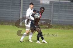 Bayernliga Nord - Saison 2024/25 - FC Ingolstadt 04 II - ATSV Erlangen - Jason Osei Tutu (Nr.11 - FCI U21) - Döring Sebastian weiss Erlangen - Foto: Meyer Jürgen