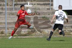 Bayernliga Nord - Saison 2023/2024 - FC Ingolstadt 04 - FC Coburg - David Udogu rot FCI - Foto: Meyer Jürgen