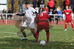 2023_11_5 - Kreisklasse - Saison 2023/24 - TSV Lenting - SV Eitensheim  - Albijan Musliu grau Lenting - Christoph Exner rot Eitensheim - Foto: Meyer Jürgen