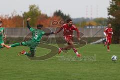 Kreisklasse - Saison 2025/26- TSV Lenting - Türkisch SV Ingolstadt - Daniel Drotleff rot Türk SV - Josef Kammer grün Lenting - Foto: Meyer Jürgen