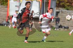 A-Junioren Bundesliga -  Saison 2026/27 - FC Ingolstadt 04 - VFB Stuttgart - Gentges Isaac rot FCI - XXXXX -  Foto: Meyer Jürgen