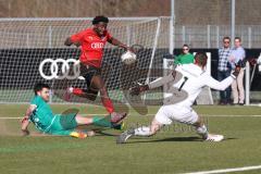 Bayernliga Nord - Saison 2023/24 - FC Ingolstadt 04 II - TSV Neudrossenfeld - Michael Udebuluzor (Nr.11 - FCI) - Gareis Daniel links Neudrossenfeld - Grüner Tobias Torwart Neudrossenfeld - Foto: Meyer Jürgen