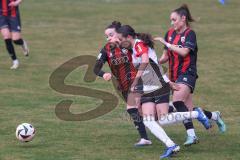 2. Bundesliga Frauen - Saison 2024/25 - FC Ingolstadt 04 Frauen - Eintracht Frankfurt II - Paula Vidovic (Nr.11 - FCI Frauen) - Ivana Slipcevic (Nr.8 - FCI Frauen) - Memminger Emma weiss Frankfurt - Foto: Meyer Jürgen